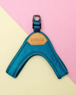 CHARLIE'S BACKYARD Buckle Up Easy Dog Harness In Teal