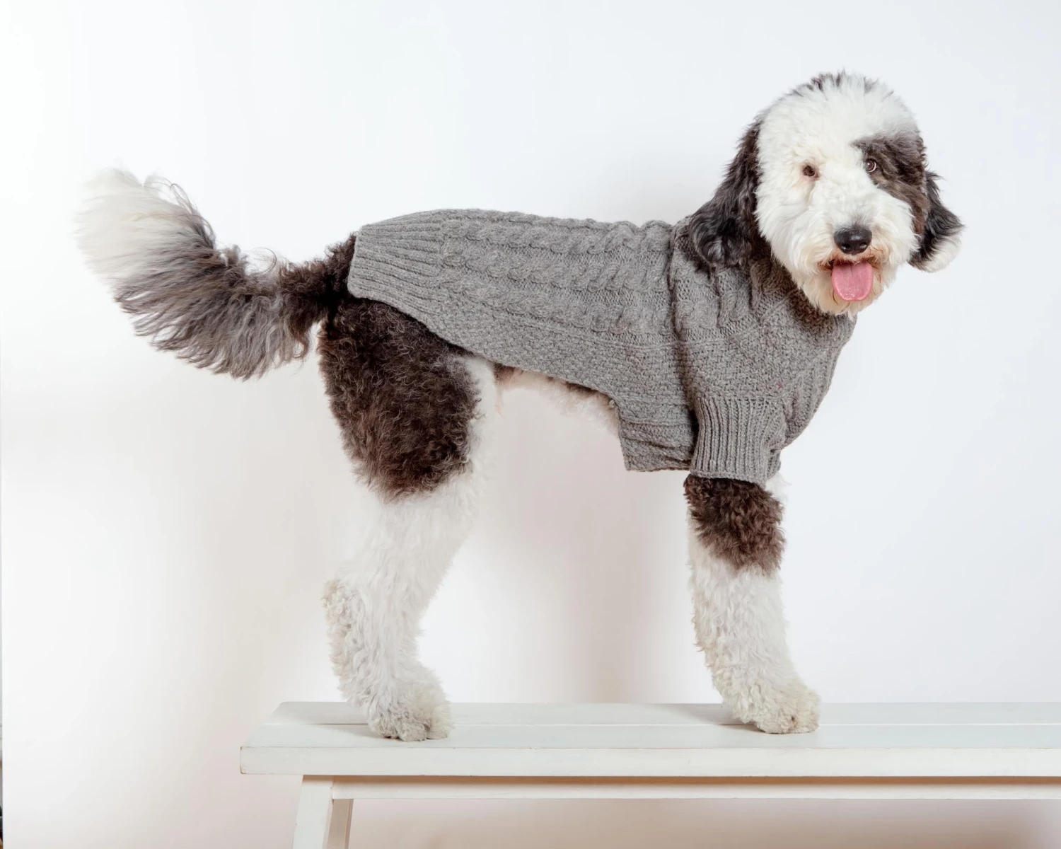 DOG & CO. COLLECTION Downtown Roll Neck Dog Sweater In Grey - Image 9