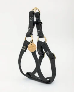 FOUND MY ANIMAL Cotton Webbing Dog Harness In Black (Made In The USA) (FINAL SALE)