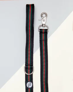 DOG & CO. COLLECTION Luxe Green & Red Stripe Dog Leash (Made In NYC)
