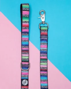 DOG & CO. COLLECTION Rainbow Serape + Leopard Dog Leash (Made In NYC)