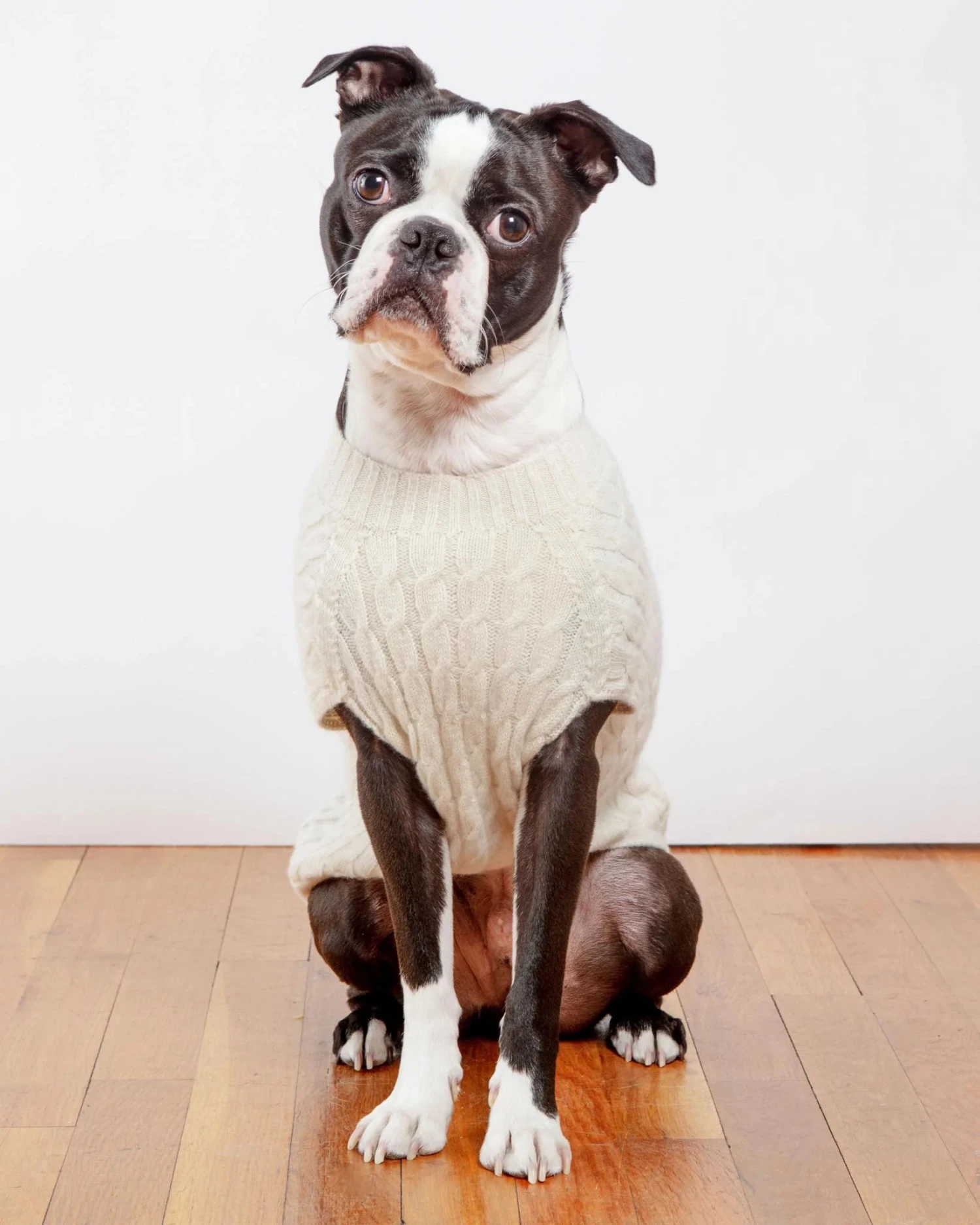 DOG & CO. COLLECTION The Uptown Cable Knit Sweater In Natural American Cotton (Made In NYC) - Image 5