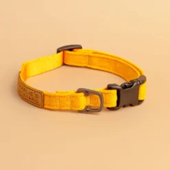 CHARLIE'S BACKYARD Easy Dog Collar In Yellow