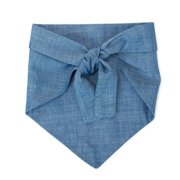 MODERN BEAST My Dad Is Single Chambray Bandana (Made In The USA) - Image 6