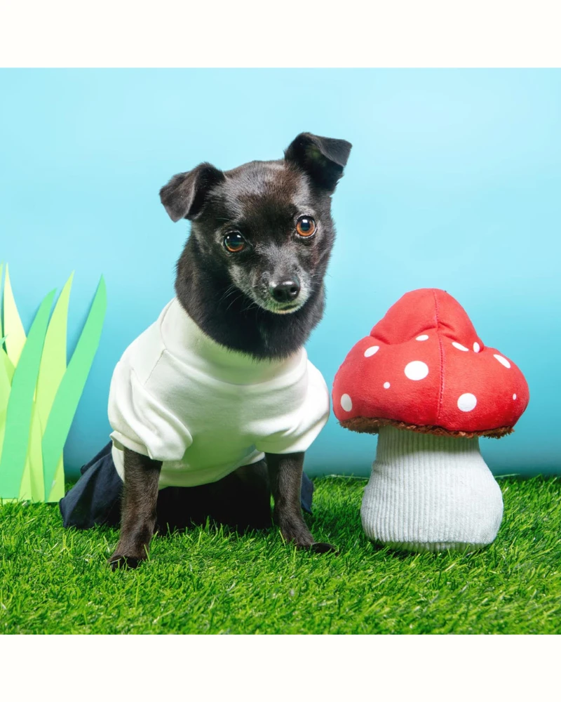 P.L.A.Y. Mutt's Mushroom Squeaky Dog Toy - Image 2