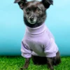 COLETTE ET GASTON Cotton Pullover Dog T-Shirt In Lavender Or Navy