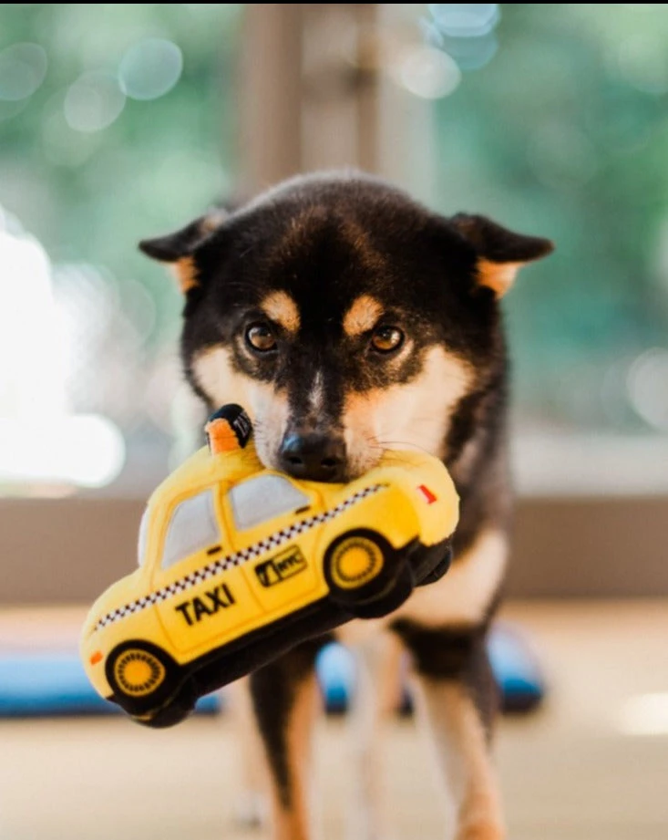 P.L.A.Y. Canine Commute Taxi Plush Crinkle + Squeaky Dog Toy - Image 3