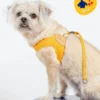 CHARLIE'S BACKYARD Adjustable Easy Dog Harness In Yellow (Dog & Co. X Charlie's Backyard Exclusive)