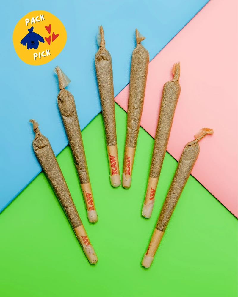 MEOWIJUANA Catnibas Meowy J's Catnip Joints