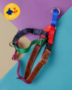 2 Hounds Design Freedom No-Pull Harness In Spice (Made In The USA)