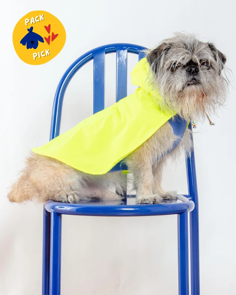 DOG & CO. COLLECTION Action Jacket Pull-On Raincoat In Safety Yellow + Blue (Made In NYC) - Image 3