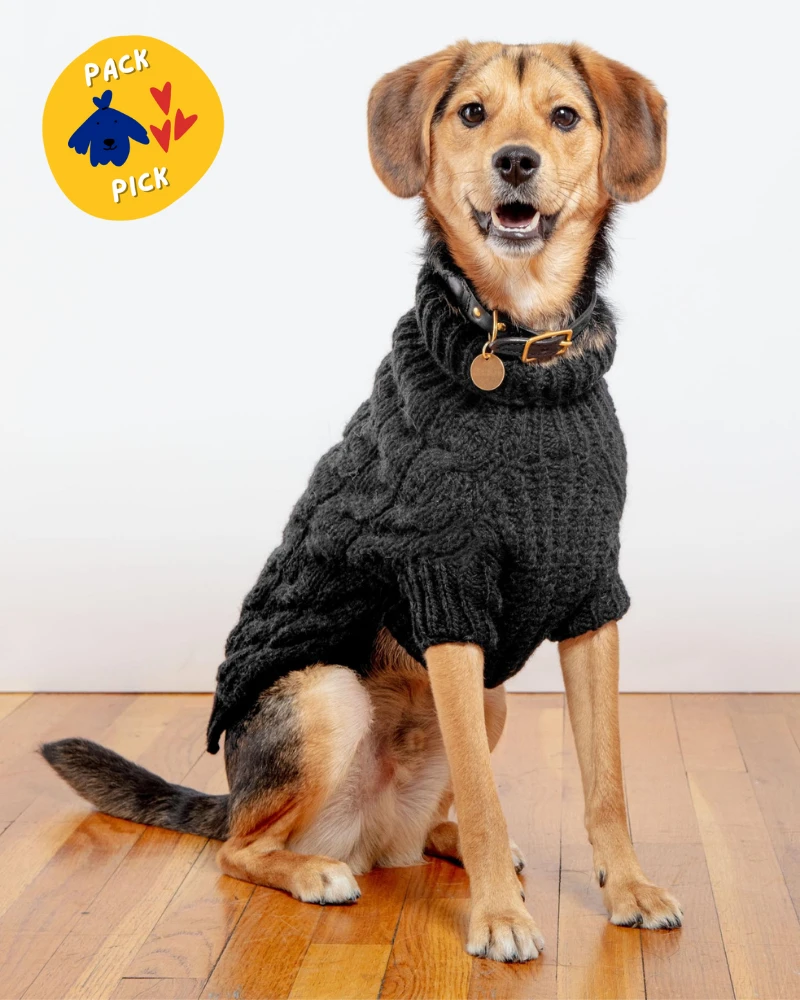 DOG & CO. COLLECTION Downtown Roll Neck Dog Sweater In Black (FINAL SALE)