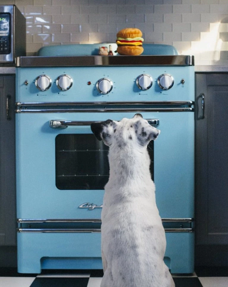 P.L.A.Y. American Classic Hamburger Plush Dog Toy - Image 5