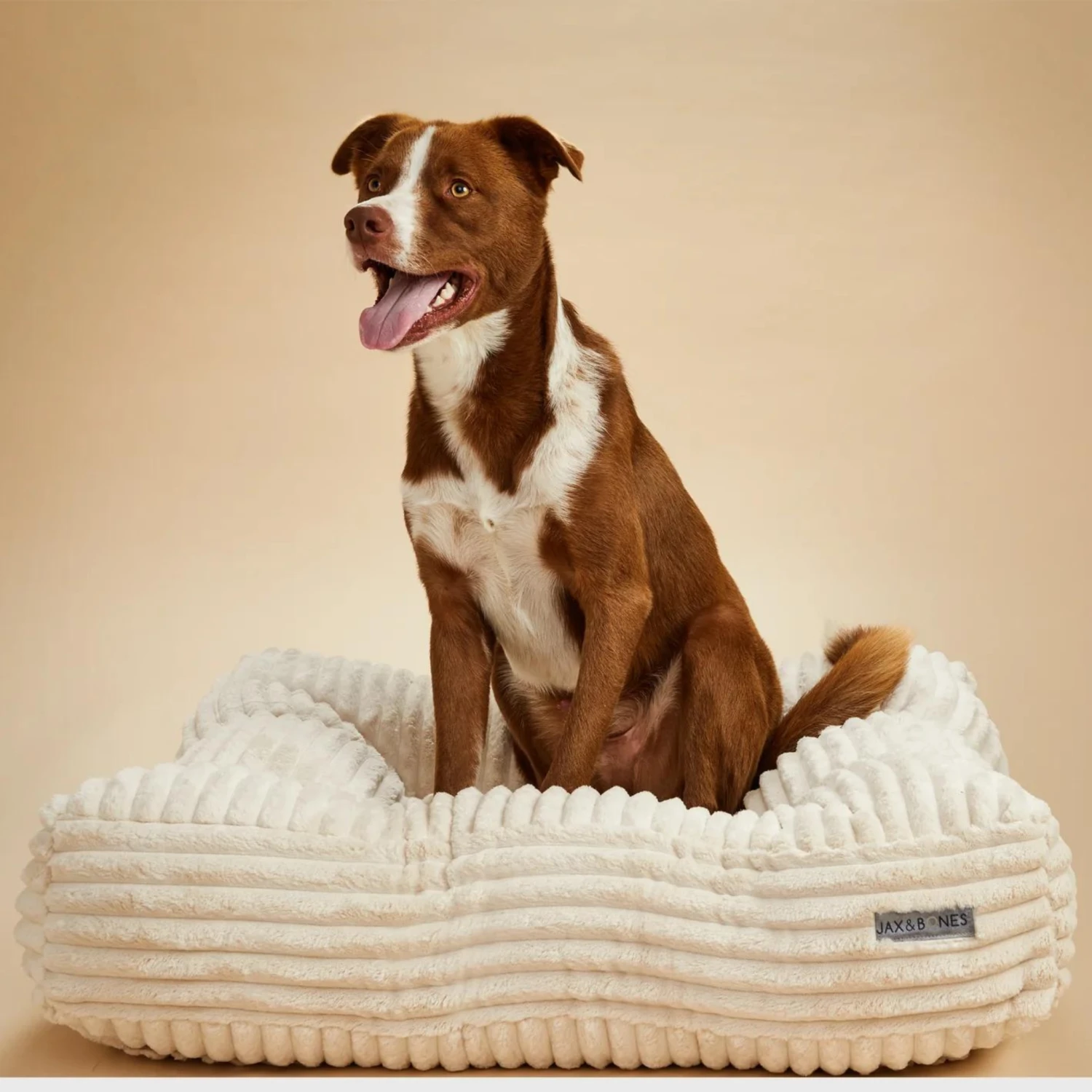 JAX & BONES Pillow Top Dog Bed In Luna Ivory (Direct Ship)<br>(Made In The USA) - Image 2
