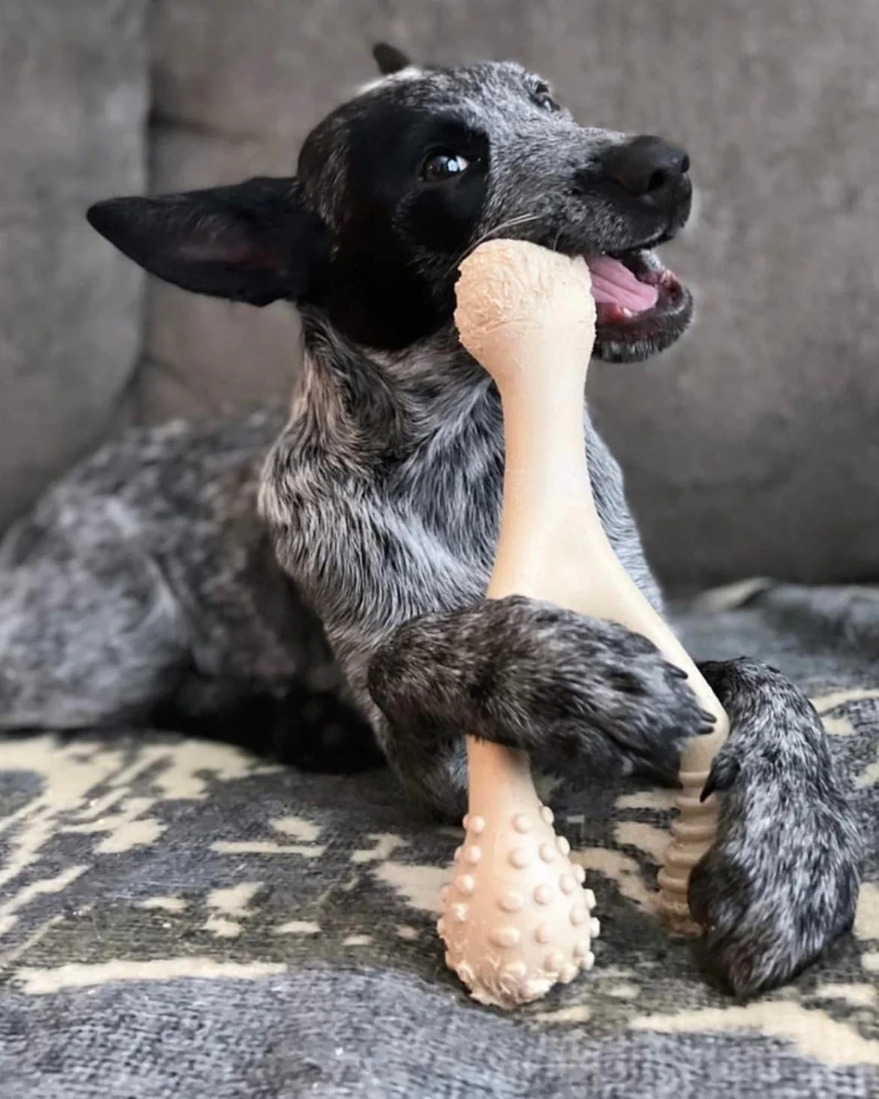 BETTERBONE TOUGH All Natural Eco-Friendly Dog Chew Toy (Beef Flavor) - Image 5