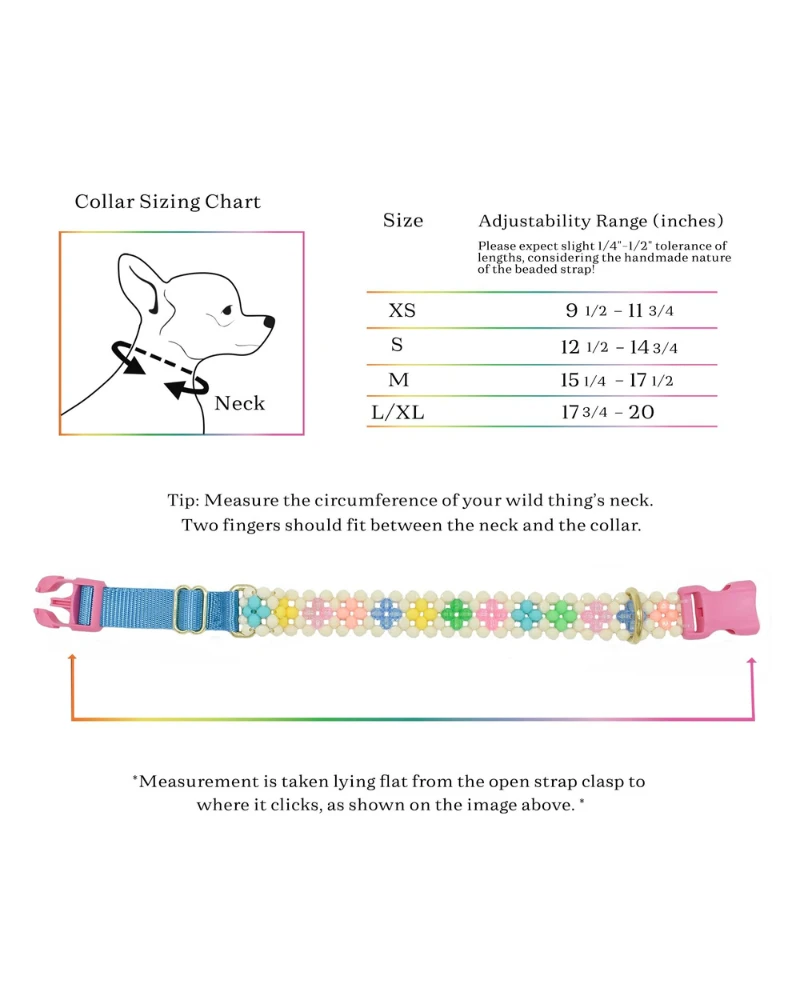 SUSAN ALEXANDRA Broadway Beaded Dog Collar In Matinee (Made In The USA) - Image 8