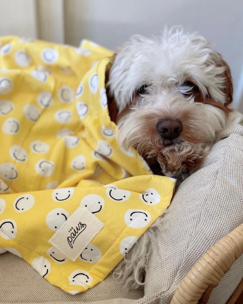 THE PAWS Cotton + Terry Dog Towel - Image 2