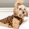 GOLD PAW Stretch Fleece Pullover In Leopard Print