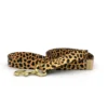 MAJOR DARLING Basic Nylon Dog Leash In Leopard (Made In The USA)