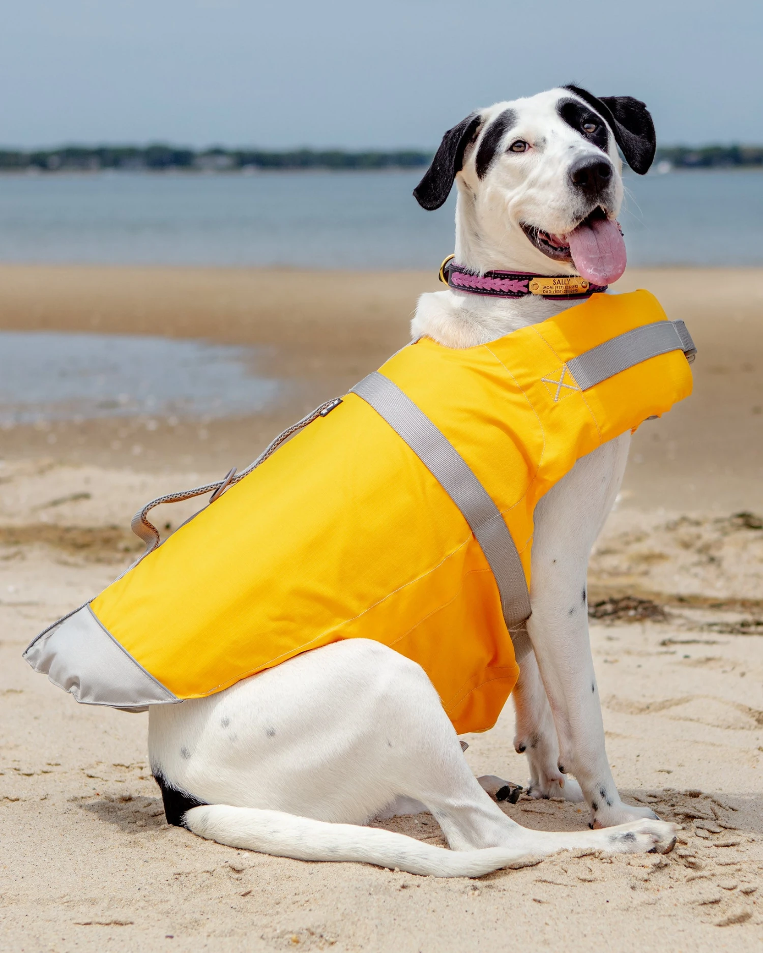 HURTTA Life Savior Dog Life Jacket In Golden Yellow (FINAL SALE) - Image 3