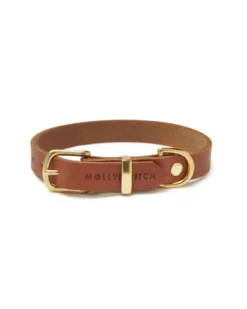 MOLLY & STITCH Butter Leather Dog Collar In Sahara Cognac (Made In Austria)