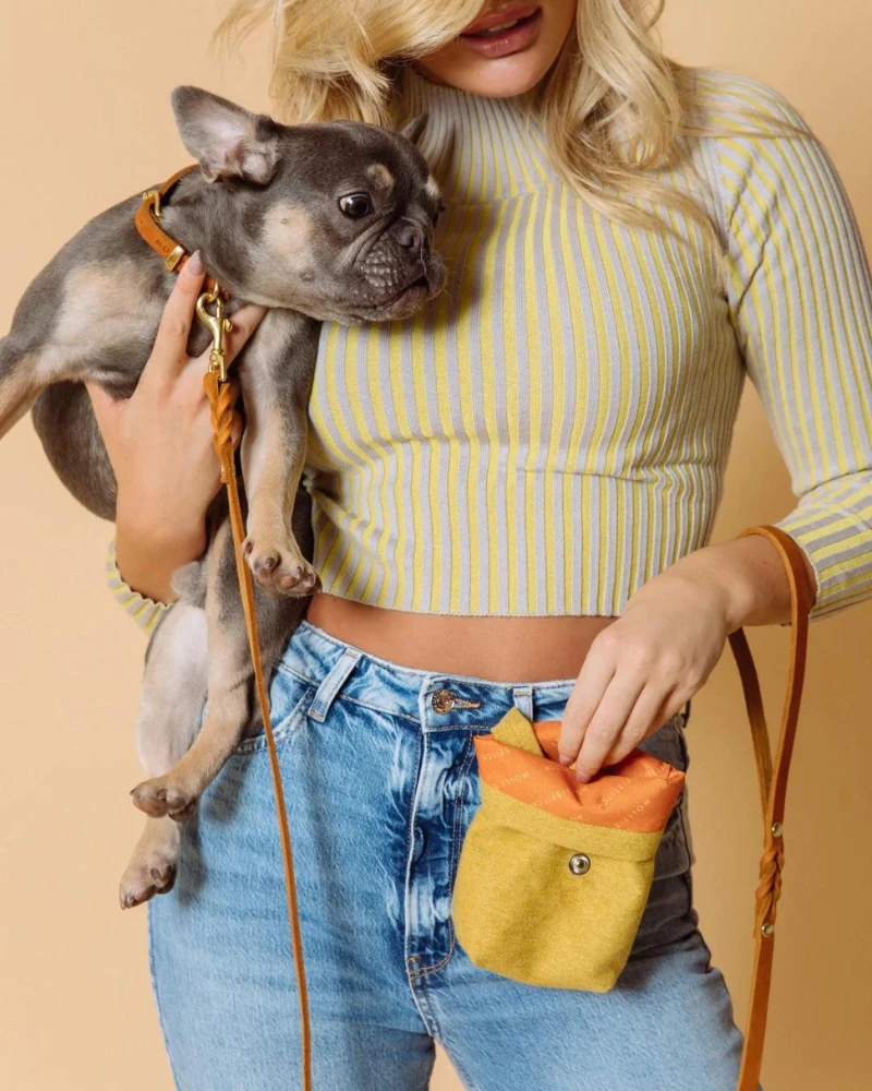 MOLLY & STITCH Butter Leather Dog Leash In Sahara Cognac (Made In Austria) - Image 2