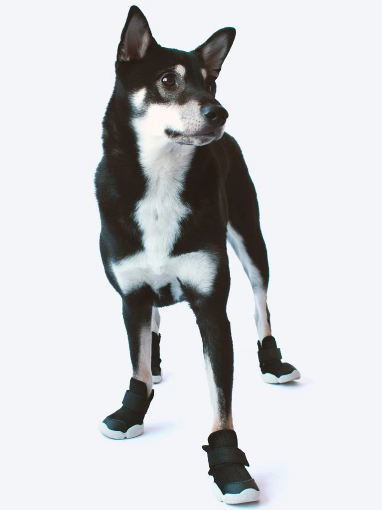 RIFRUF Caesar Dog Sneakers In Black - Image 5