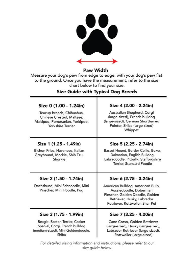 RIFRUF Caesar Dog Sneakers In Black - Image 8