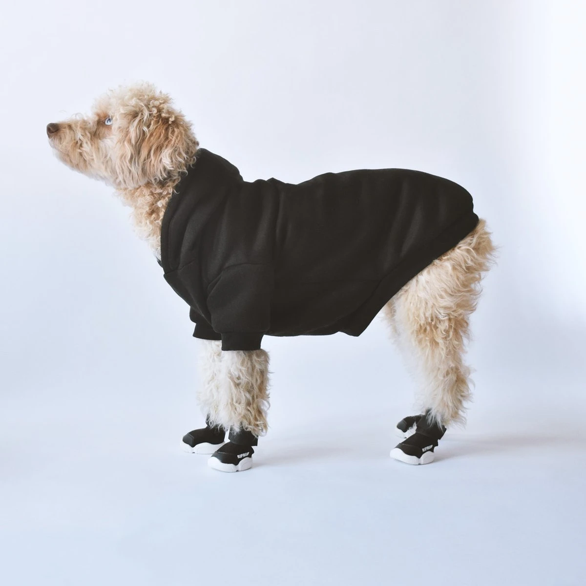 RIFRUF Caesar Dog Sneakers In Black - Image 4